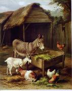 unknow artist Cocks and Sheep 079 oil painting picture wholesale
